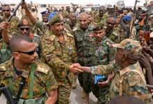 القوات المسلحة 2