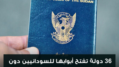 تاشيرة e1756517221979