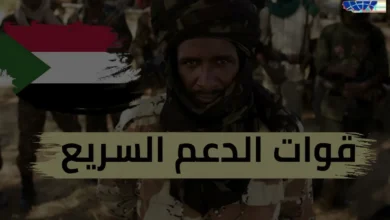 صرخة في وادي الدم كيف مزقت مليشيا الدعم السريع نسيج السودان وحولت أحلام شعبه إلى كابوس 2 edited image seo