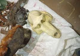 ضبط آثار نادرة داخل منزل سيدة في الخرطوم 2 تنزيل 33