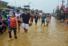 06d0e819 3846 4659 819c c8937c8c296a 16x9 1200x676