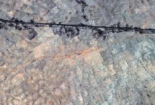 150a5f4b 03b2 4221 a082 473b2c4df869 16x9 1200x676