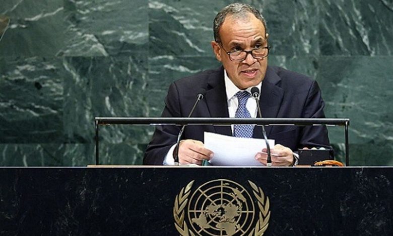 وزير الخارجية المصري يرد على تهديدات حميدتي 1 690a9c594c59b701c35265d6 780x470 1