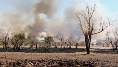 الفرقة 22 مشاة تصد هجوم المليشيا على بابنوسة (التفاصيل كاملة) 1 بابنوسة