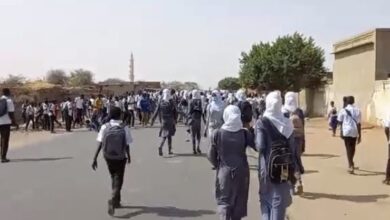 FNy2ppJXsAAPMJZ 810x417 1