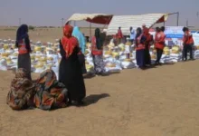 afp 6932ddd1f053 1764941266