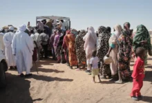 ap 693bf8bbf0d8c 1765537980