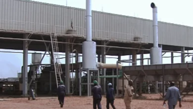 جيش جنوب السودان ينتشر لحماية حقل هجليج واشتباكات متصاعدة في كردفان 2 image 1765499534