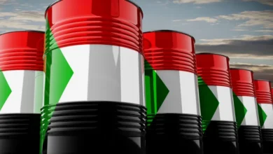 مصدر حكومي: انسحاب الشركات الصينية من قطاع النفط بالسودان بسبب الوضع الأمني 1 shutterstock 2491108533 1765194278