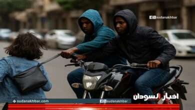 حوادث سطو في الجيزة والقاهرة بقيادة سودانيين 2 tedsddw 810x455 1