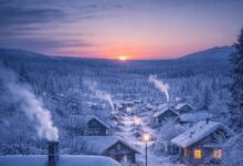 الصفر e1766159476496