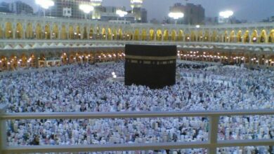 FB IMG 1763829654669 750x430 1