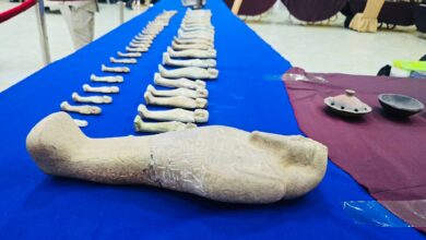 FB IMG 1768317484947