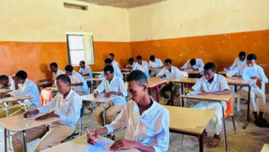إغلاق مفاجئ يطال مدارس خاصة في الخرطوم 3 Student pass an exam in