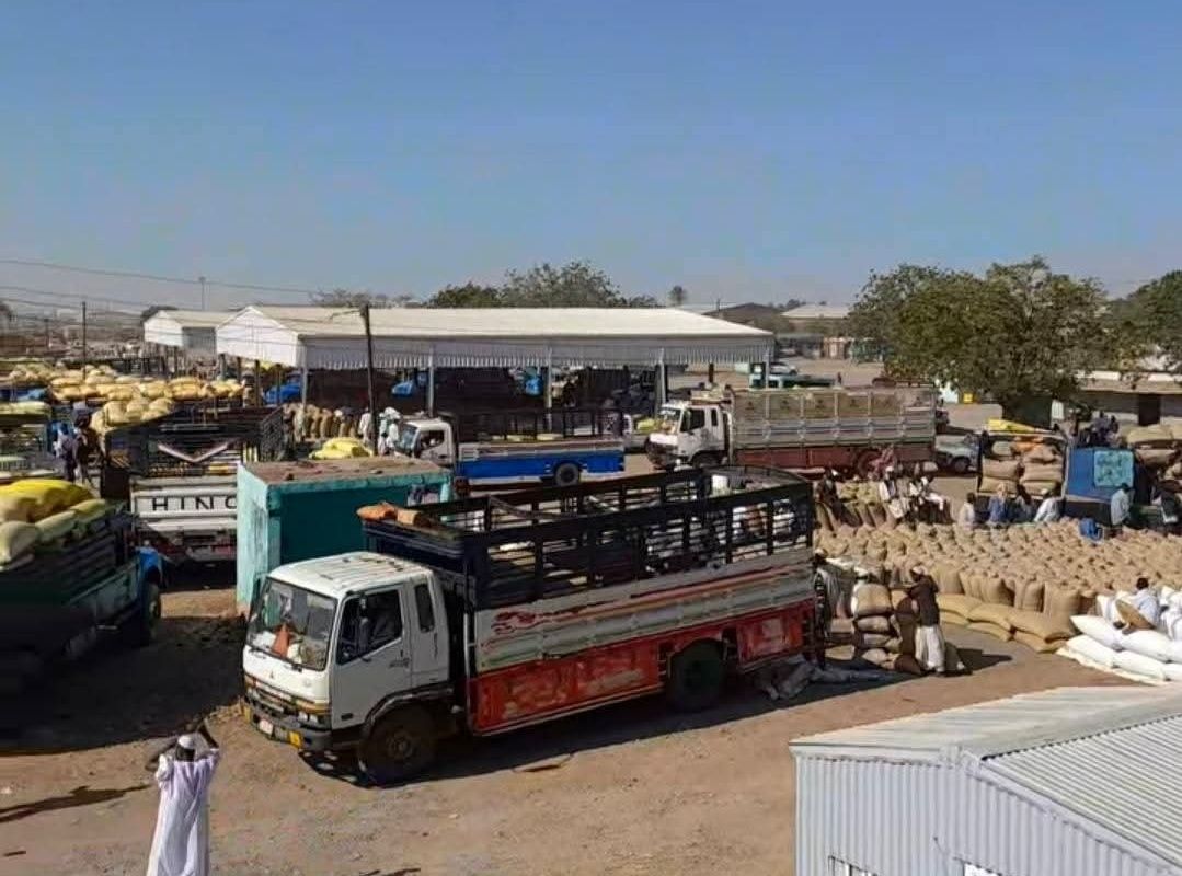 اسواق القضارف