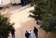 كشات مصر e1769929500881