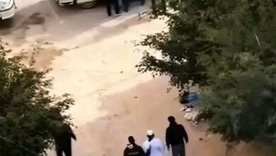 كشات مصر e1769929500881