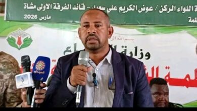 غاندي إبراهيم يكتب: شلل يهدد الجامعات السودانية 2 1774171146701