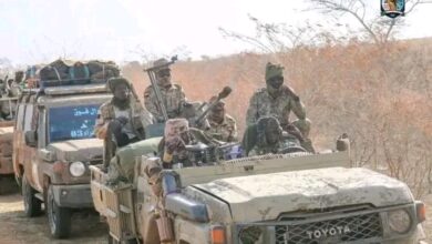 قائد الفرقة الرابعة مشاة يعلن دخول "مرحلة الحسم" لتطهير إقليم النيل الأزرق 2 1774696996083