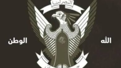 في ملحمة بطولية بمحور "سالي".. الفرقة الرابعة مشاة تسحق الدعم السريع وتكبدها خسائر فادحة بالنيل الأزرق 1 IMG 9369