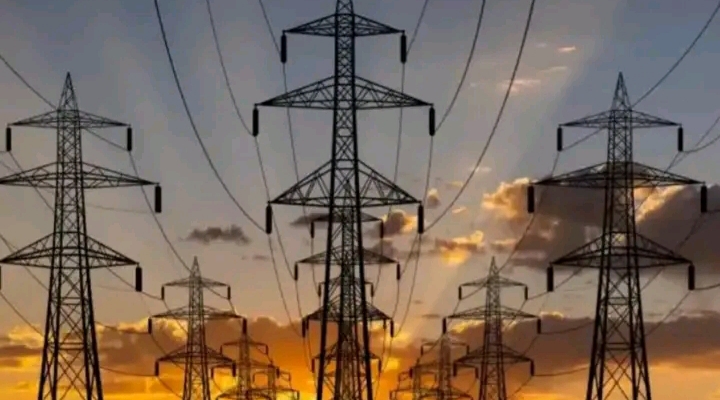 IMG ٢٠٢٦٠٣٠٦ ١٥٠٩٥٦