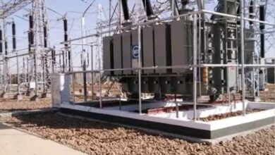 IMG ٢٠٢٦٠٣١٨ ١٥٠١٠٨