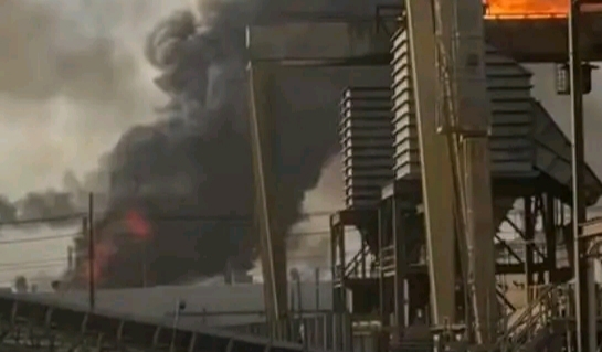 IMG ٢٠٢٦٠٣٢٤ ٢٠١٢٥٨