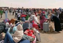 IMG ٢٠٢٦٠٣٢٧ ١٧٣٣٤٣