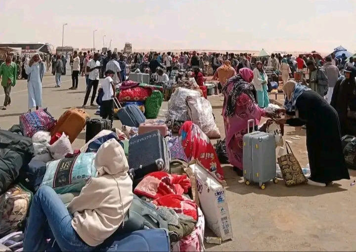 IMG ٢٠٢٦٠٣٢٧ ١٧٣٣٤٣