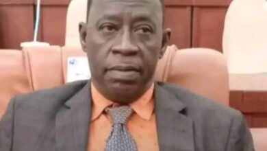 IMG ٢٠٢٦٠٣٢٨ ١٣٣٥٥٦