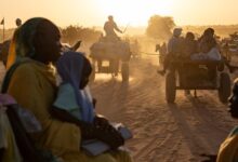 image1170x530cropped