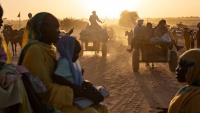 image1170x530cropped