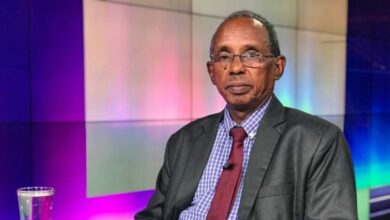 عثمان ميرغني يكتب: الكرمك.. المنسية 2 عثمان ميرغني جديد 768x425 1