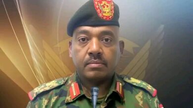 أسود النيل الأزرق" يزلزلون الأرض تحت أقدام المليشيا.. نصر ساحق لقوات العمل الخاص بمنطقة "شيتيو" 2 1775571993419