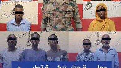 في عملية أمنية واسعة بكرري.. الإطاحة بـ "رائد مزيف" وتفكيك شبكات إجرامية وأوكار للرذيلة بسوق صابرين والحارات 1 1775820807547