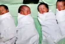 "أنقذوا الأطفال": 5.6 ملايين مولود بالسودان منذ بدء الحرب يواجهون واقعاً مأساوياً ونظاماً صحياً منهاراً 2 1776181783836