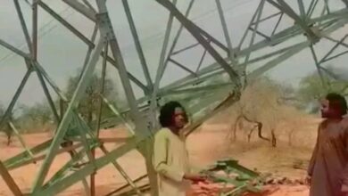 IMG ٢٠٢٦٠٤٠٤ ١٣٣٤٣٤