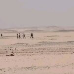 IMG ٢٠٢٦٠٤٠٥ ١٤٢٠٣٤