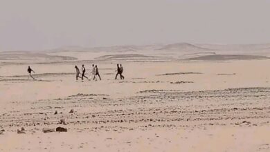 السمؤل عبد الجواد يكتب: نداء عاجل: أمن مدينة حلفا في خطر.. أوقفوا فوضى "المُرحّلين" فوراً! 2 IMG ٢٠٢٦٠٤٠٥ ١٤٢٠٣٤