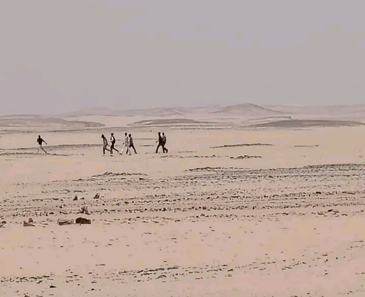 IMG ٢٠٢٦٠٤٠٥ ١٤٢٠٣٤