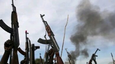 IMG ٢٠٢٦٠٤١٤ ١٨٠٠٢٣