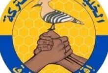 السجن 20 عاماً لمتعاونة مع المليشيا بالنيل الأزرق.. والخلية الأمنية تتوعد "المخربين" بيد من حديد 2 IMG ٢٠٢٦٠٤١٦ ١٩١٨٣٢