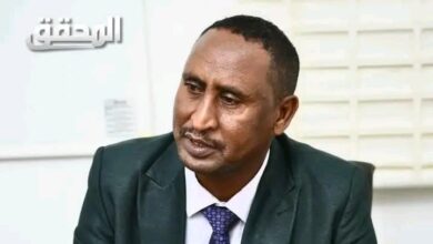 IMG ٢٠٢٦٠٤٢٦ ١٧٥٥٢٩