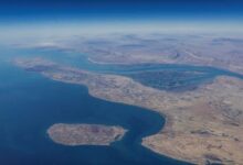 b016c315 b93a 49a8 84ec e1dc19169fa9 16x9 1200x676