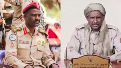 unnamed file 213 780x470 1