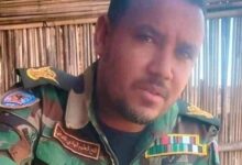 الشوبلي 780x470 1