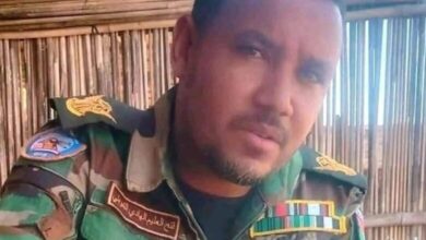 الشوبلي 780x470 1