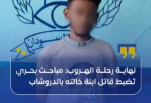 نهاية رحلة الهروب.. مباحث بحري تضبط قاتل ابنة خالته بمنطقة "الدروشاب" 13 1778513292600