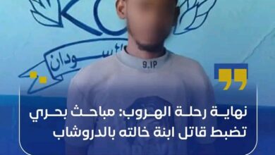 نهاية رحلة الهروب.. مباحث بحري تضبط قاتل ابنة خالته بمنطقة "الدروشاب" 2 1778513292600
