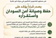 بمشاركة المندوبين الدائمين.. الجامعة العربية تدين استهداف البنية التحتية والمدنية في السودان 2 1778525439569